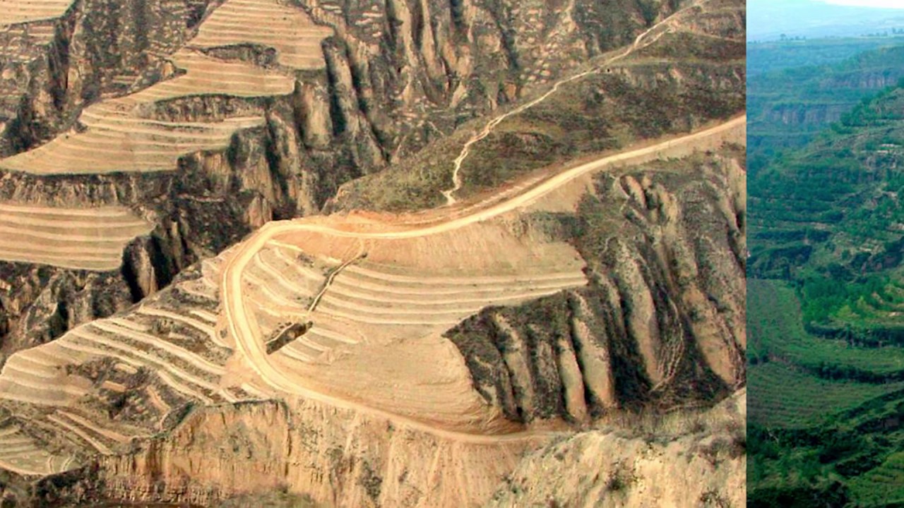 Agua y Arboles, conservacion con retencion de agua en la tierra