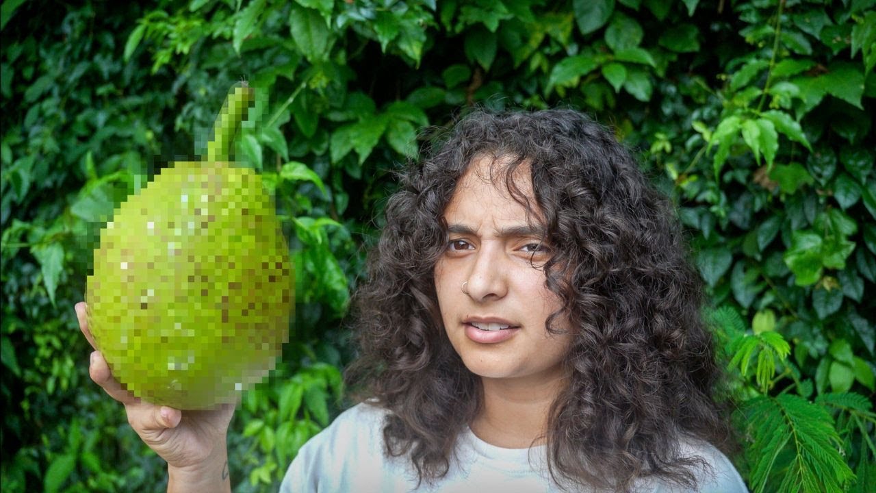 The Shocking Story Behind Puerto Rico’s Famous Fruit