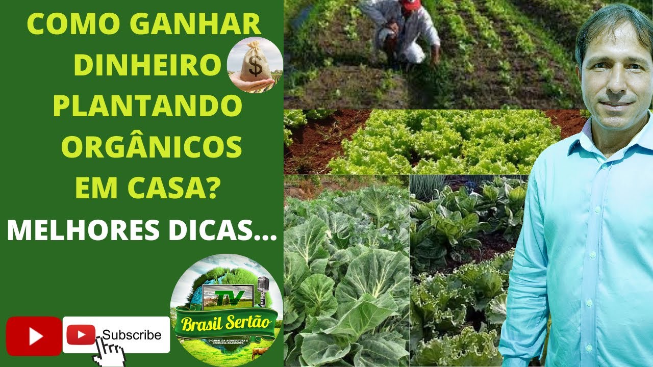 COMO GANHAR DINHEIRO PLANTANDO ORG&Acirc;NICOS EM CASA? MELHORES DICAS