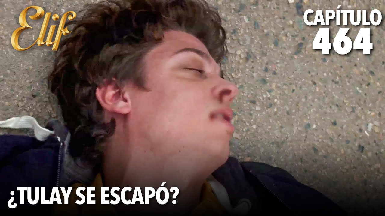 ¡La gran pelea de Cevahir y Murat! | Elif Capítulo 464