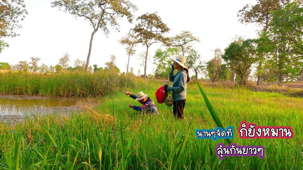 วันหมาน ลุ้นยาวๆ ใส่เบ็ดโฟม นานๆจัดทียังหมาน/บ้านนาพาสุข EP.486