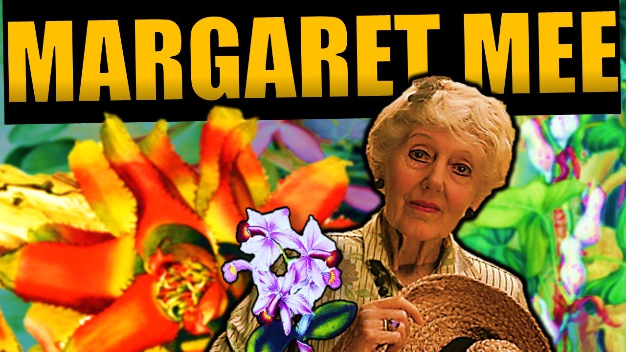 MARGARET MEE E O DESENHO BOTÂNICO