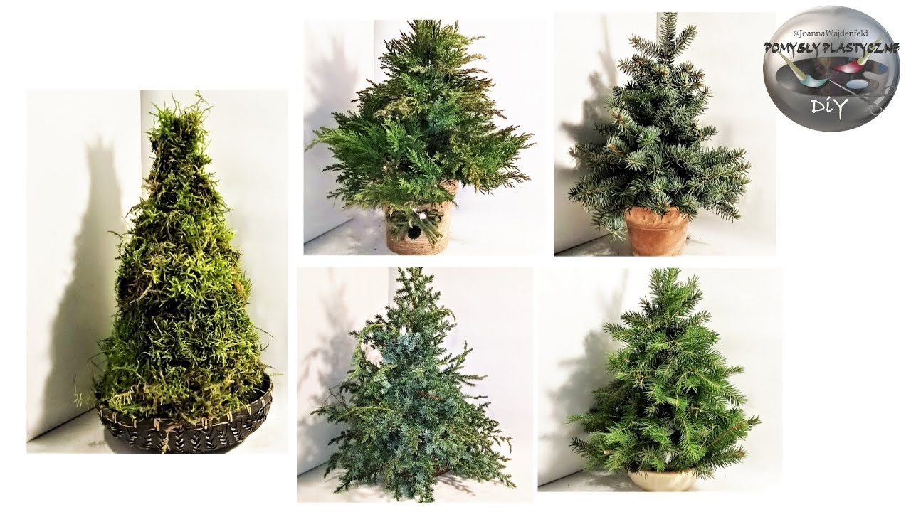 Как сделать елочки из зеленых веточек и мха