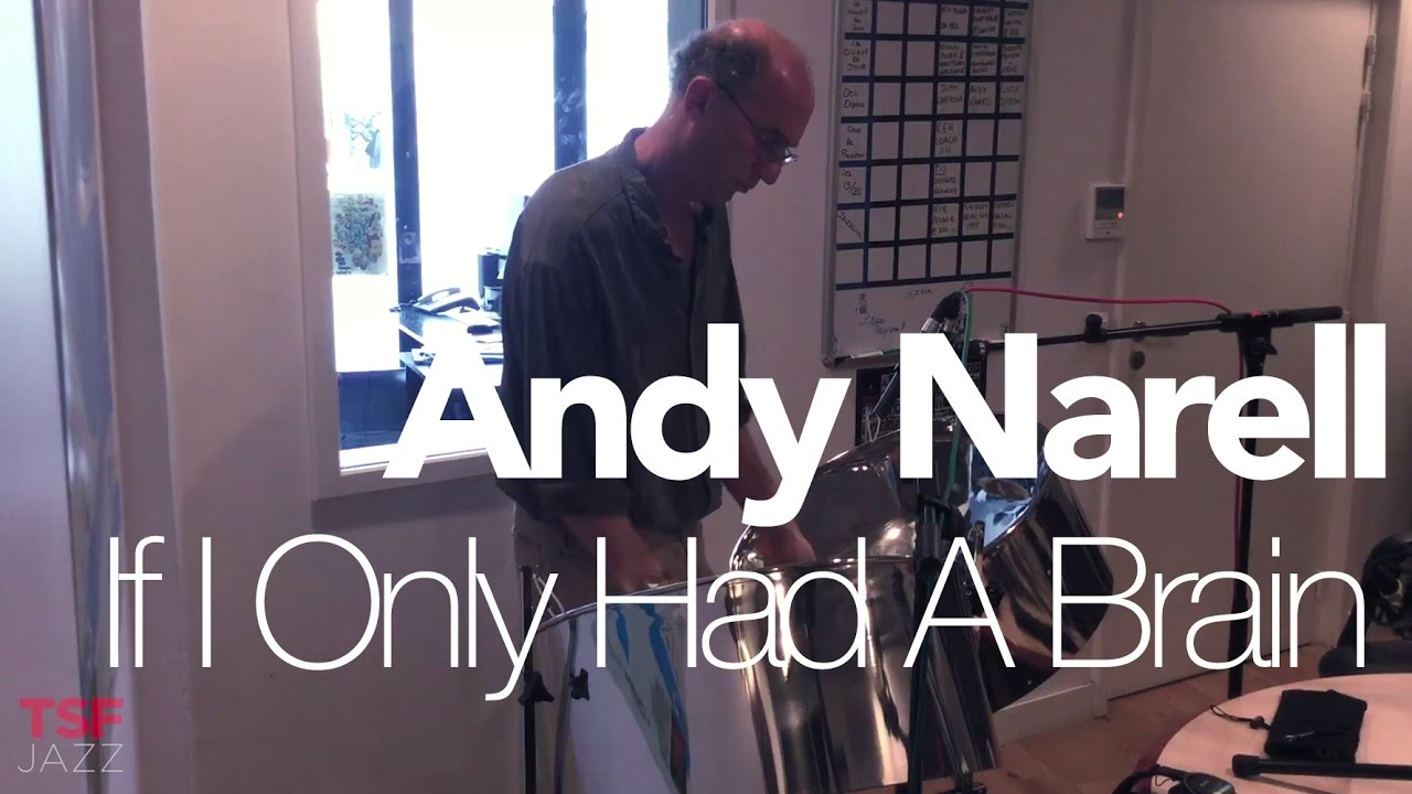 Andy Narell 