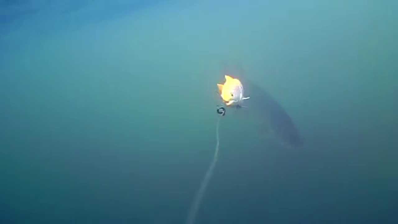 1st trip bloopers with the Waterwolf camera !