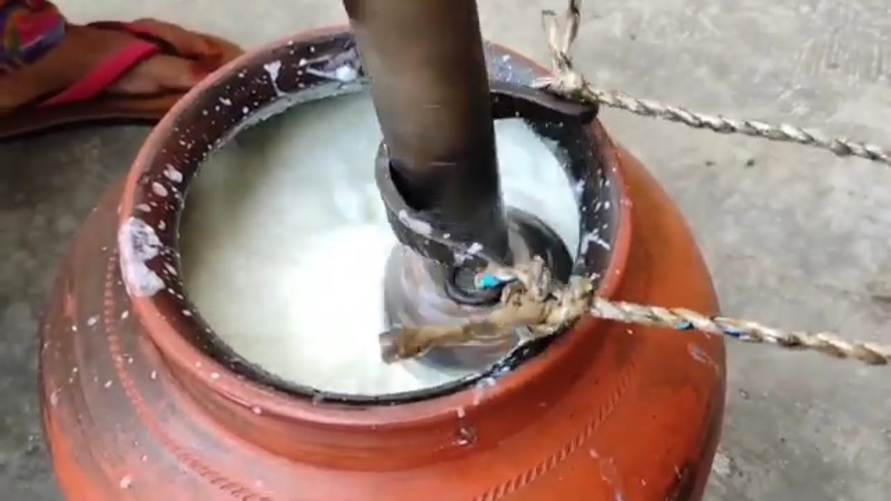 Haryana village Life | My village Haryana , Mewat | How Butter and Buttermilk is Made|