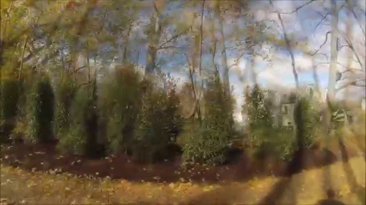 Landscape Buffer Planting in Lancaster, PA