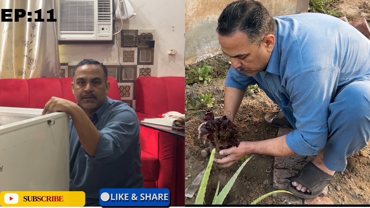 Freezer issue fixed | gardening maintenance work completed 