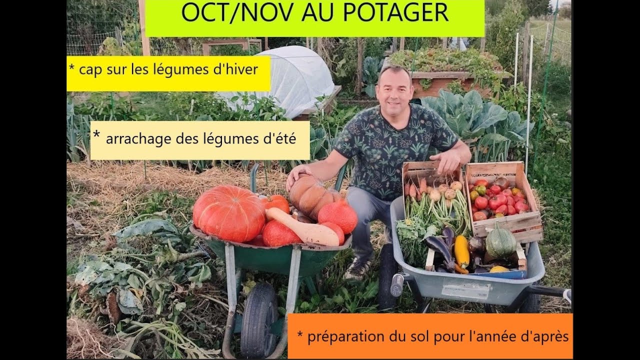 Du potager d'été au potager d'hiver en passant par l'automne: en octobre novembre que faire?