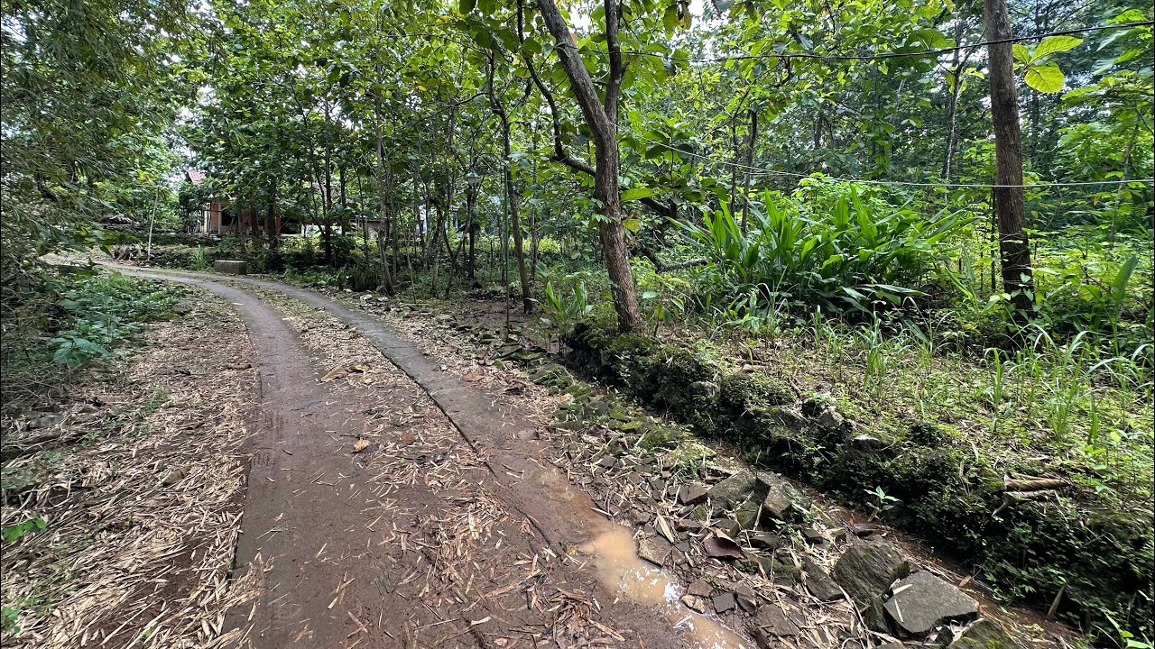 TERJUAL❌Tanah murah dekat jalan raya nasional arah semanu-pracimantoro