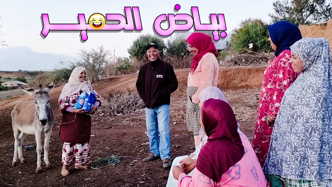 بياض الحمير🤣🤣 في دوار مختار شوفو كيفاش جمعنا السكر