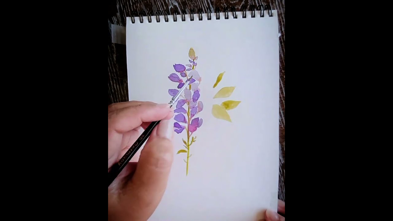 Easy Watercolour Painting of Wisteria Flower by Adni