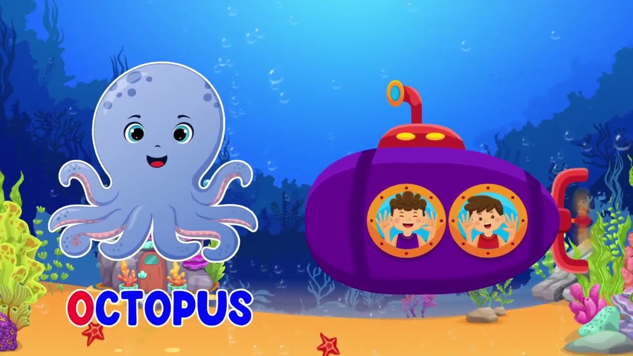 Toddlers Learning Sea Animals Bah Bah TV Ms. Rachel