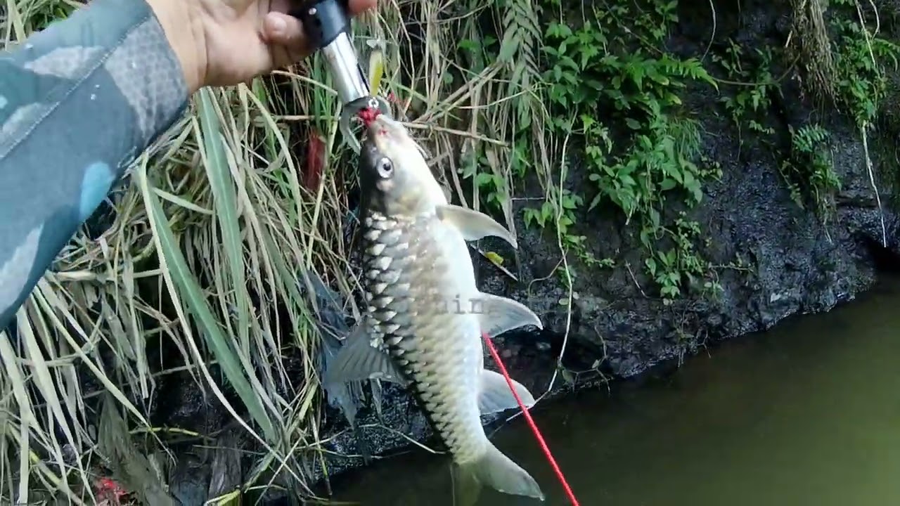 spot arus deras potensial@okayfishingtrip