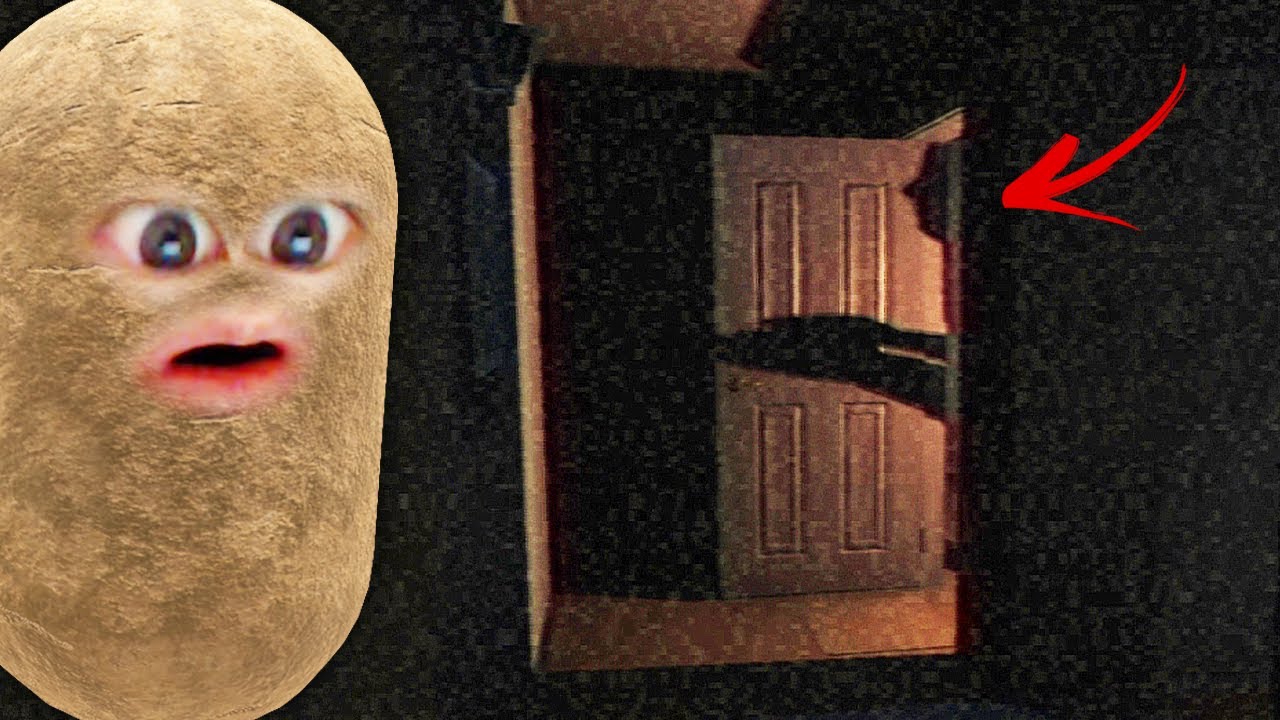 家で一人で留守番してたら...
