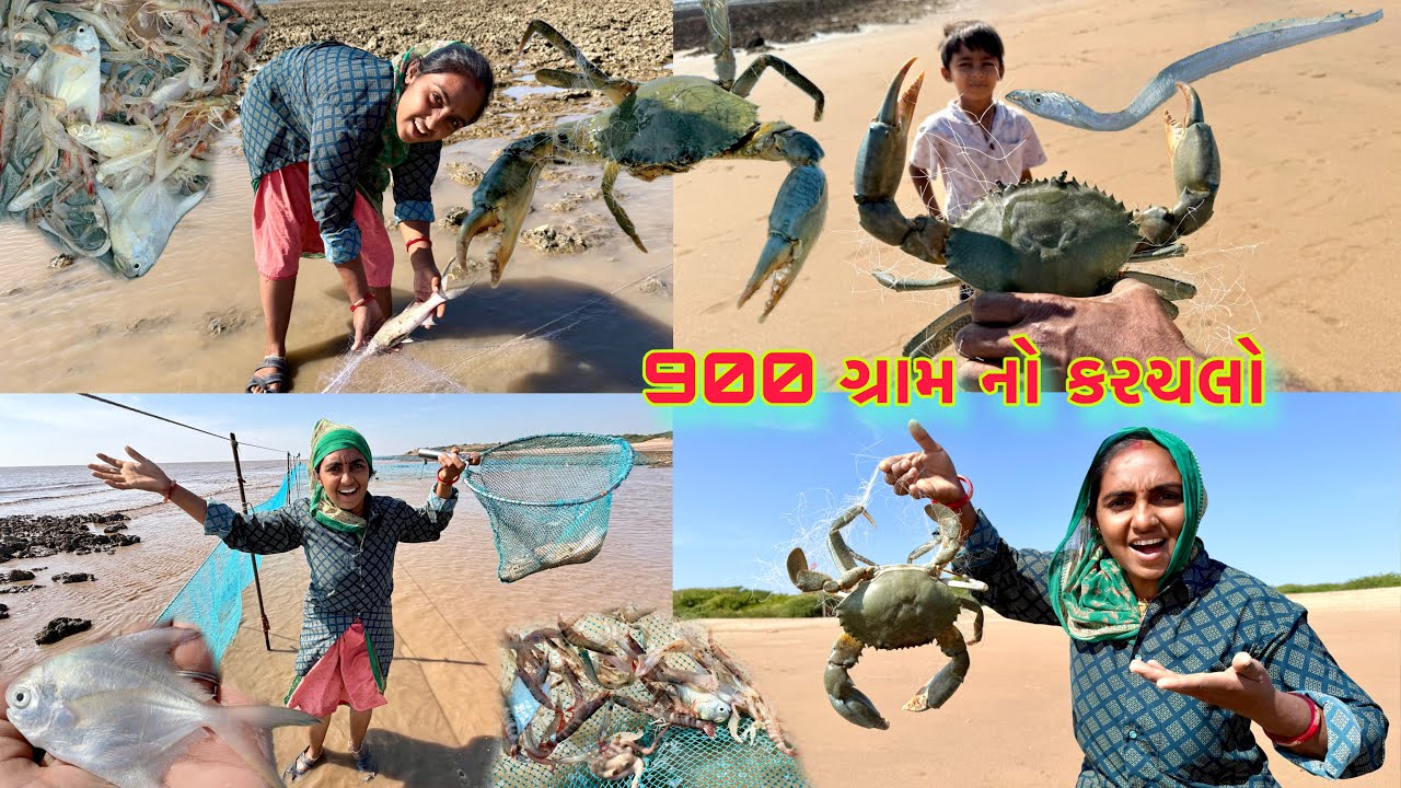 આજે હોંઢીયા ના ઢગલા થઈ ગયા 🦐 bigg size crab 🦀 dariyai khedut