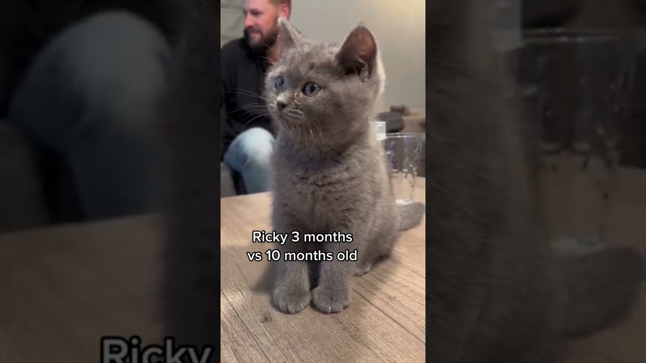 3 months vs 10 months growth🐈&zwj;⬛🤩
