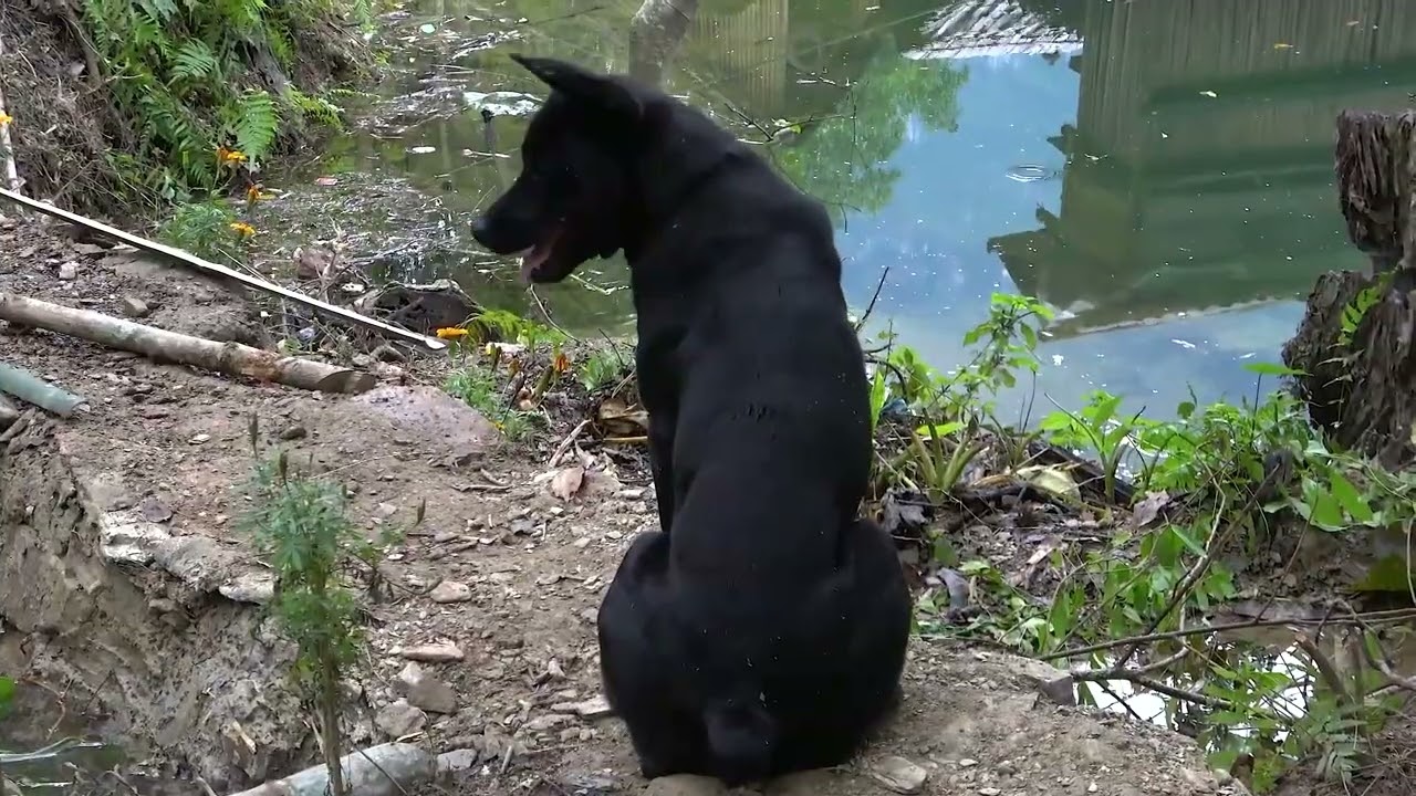 Comment vivre seul sur une ferme flottante au milieu d'un lac