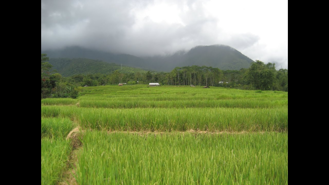 One Day Trip in Ruteng (2024)