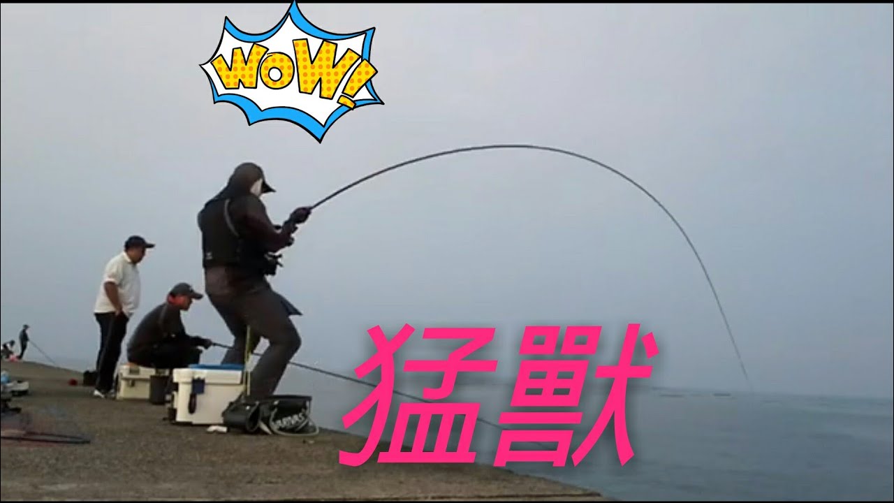 台南安平 北堤 磯釣GS  不知下面是何種怪物