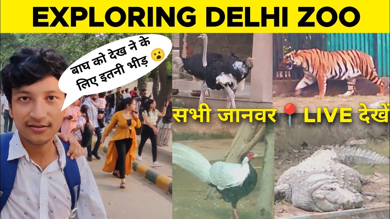 Exploring Delhi Zoo | Delhi Zoo Full Tour | Tiger , White Tiger And Others