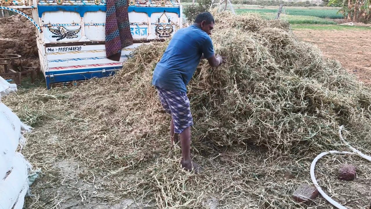 Sanju Matar Nara Ko Jama Kar Raha Hai 😅