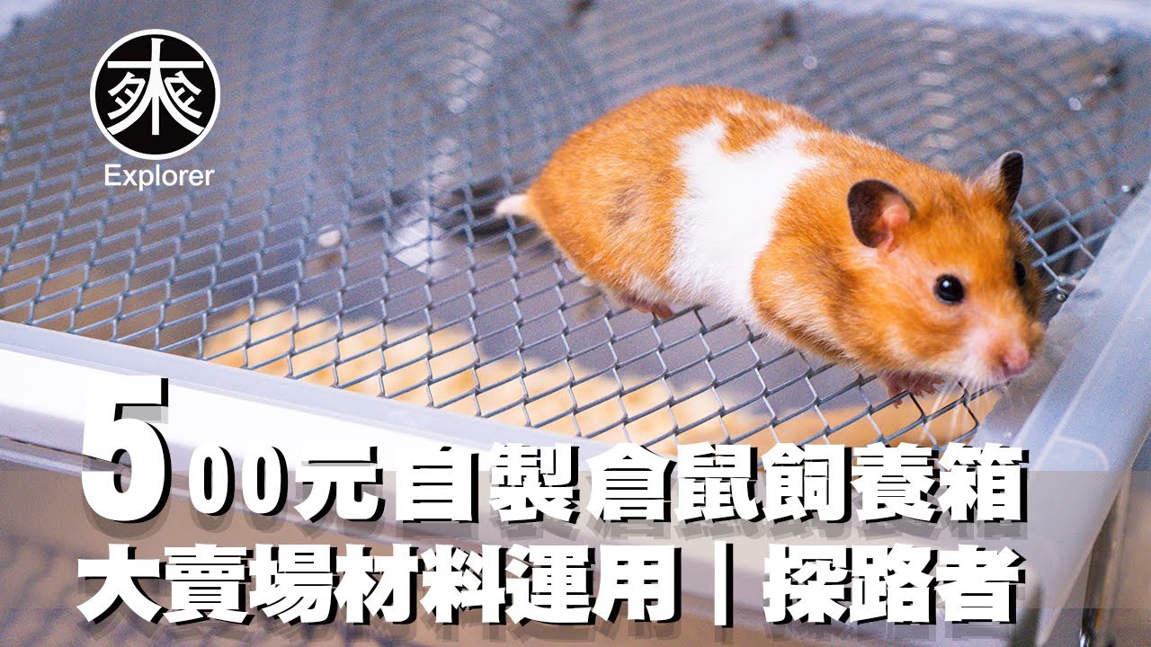 自製倉鼠籠~