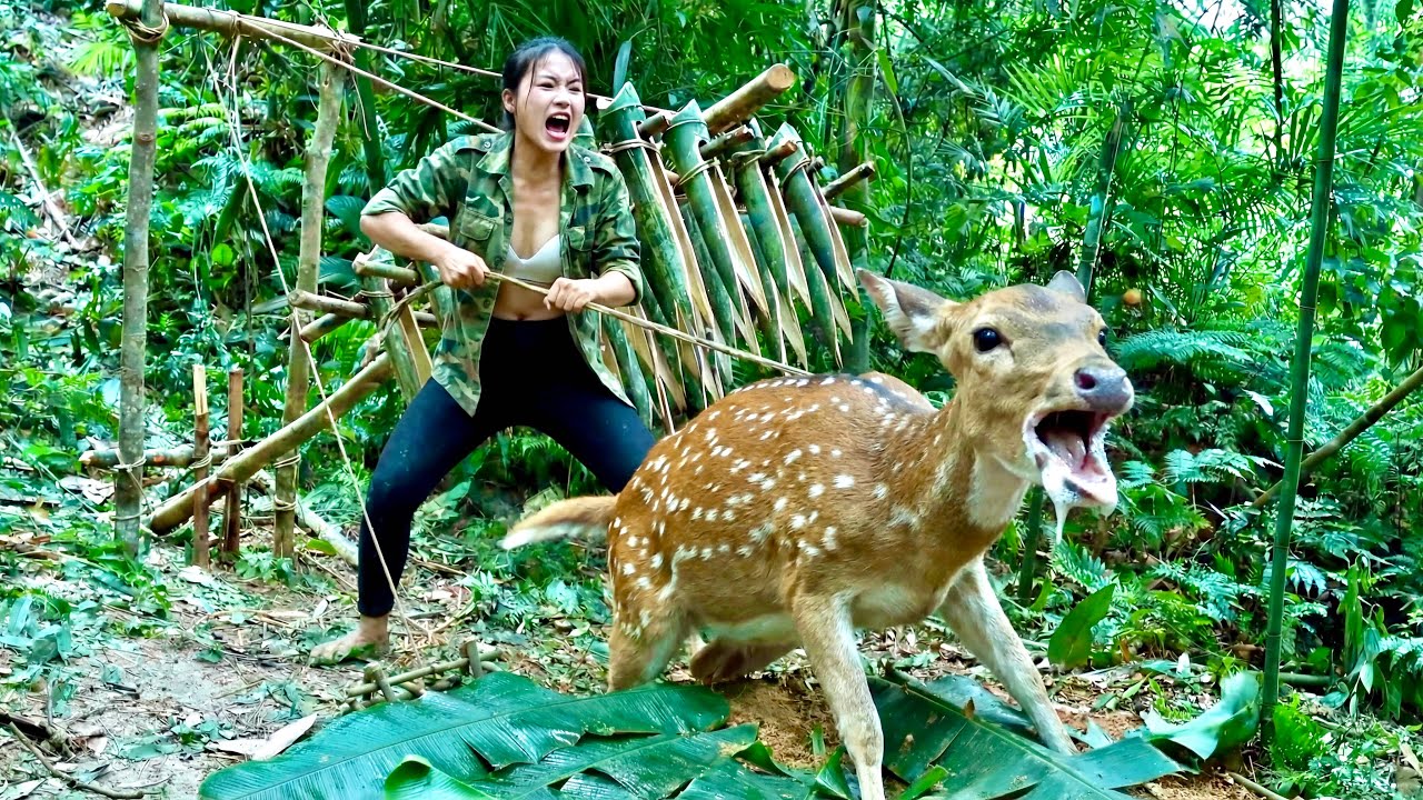 100 DAYS OF SURVIVAL: Discovering a Herd of Deer Near My Shelter—Will Luck Be on My Side?