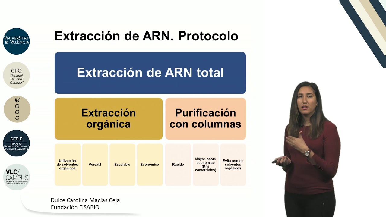 4.1. Extraccion de ARN