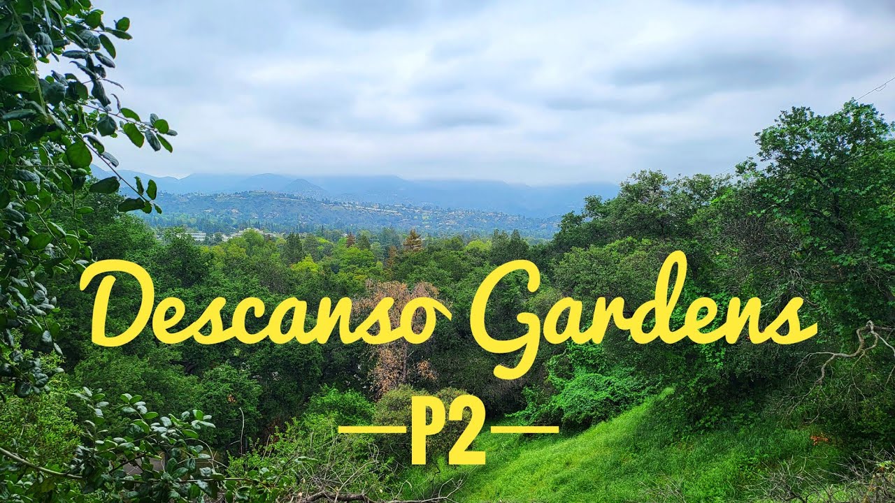 [4K] Descanso Gardens in Los Angeles, California (Part 2)