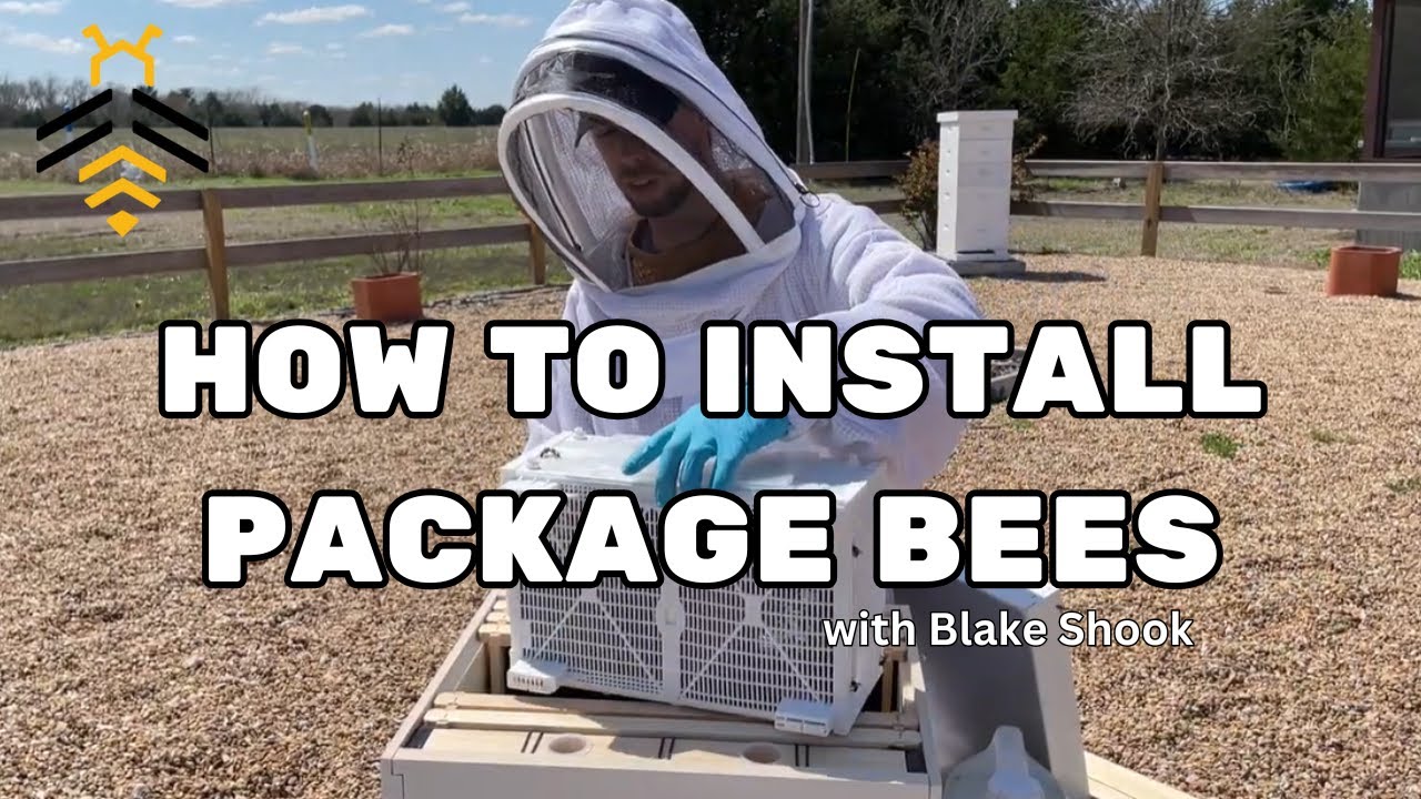 BEEKEEPING: How to Installing a Package of Bees with Blake Shook