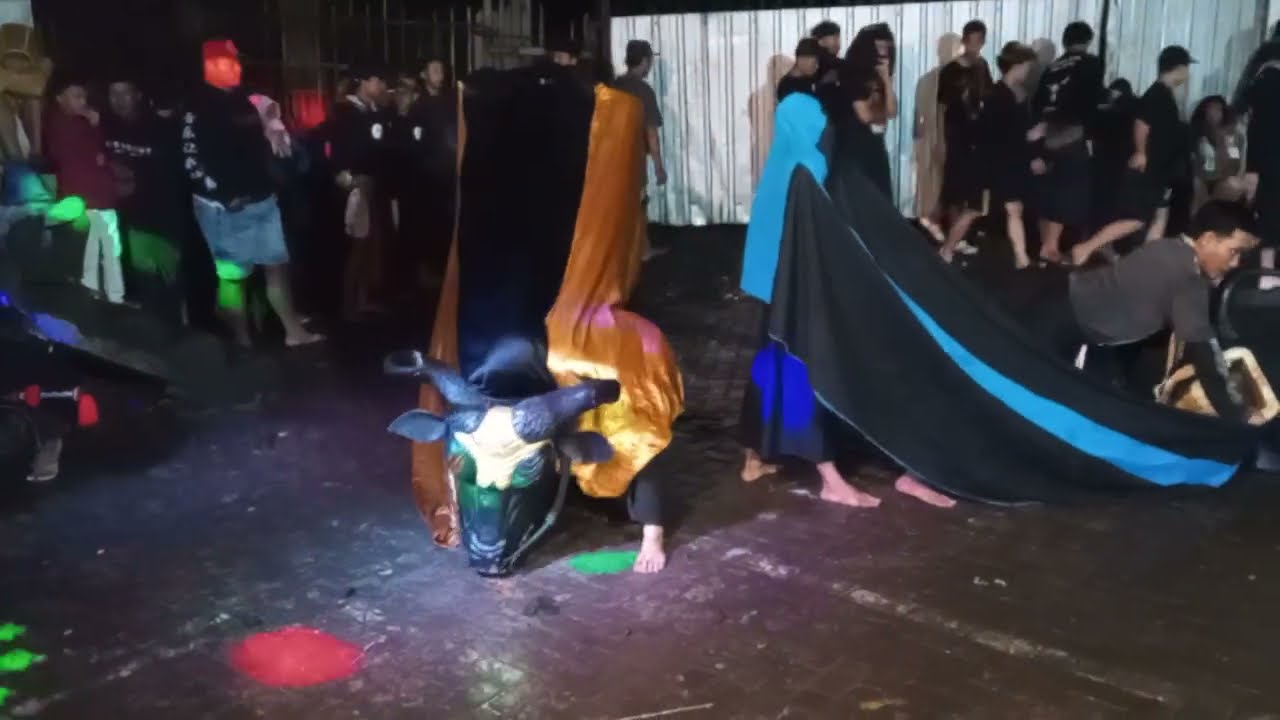 Kalapan Bantengan gedi gedi 