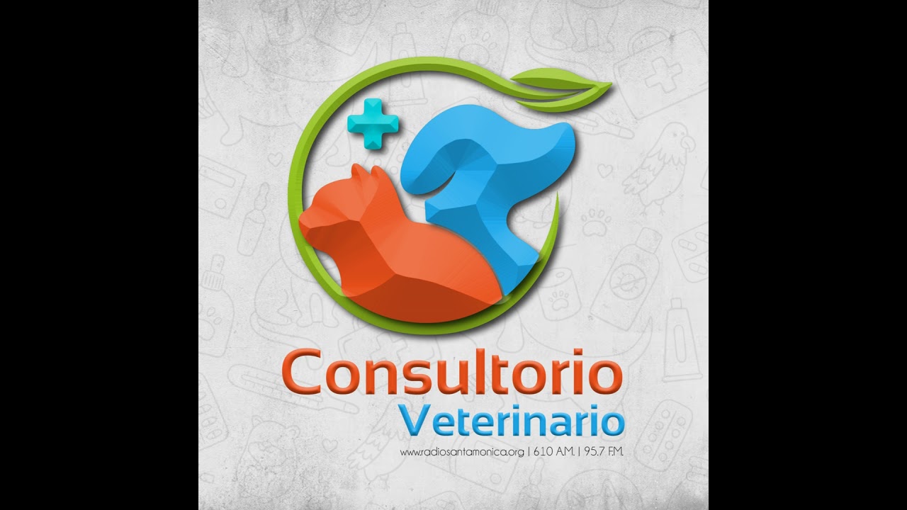 28. Parvovirus canino | Una enfermedad grave que pone en riesgo a nuestras mascotas