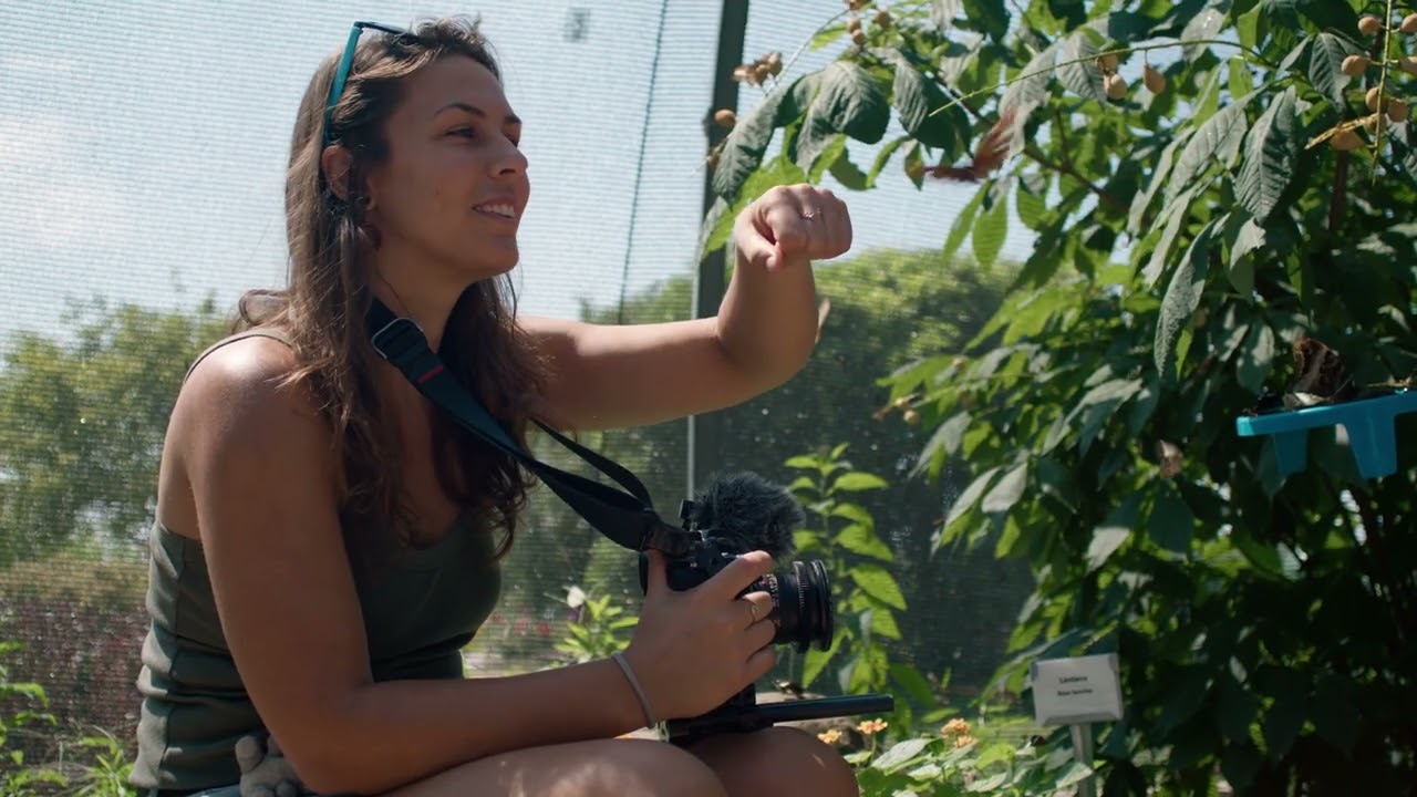Butterfly Garden w/Leica R 28mm & 6k Pro - Wide Open - Graded