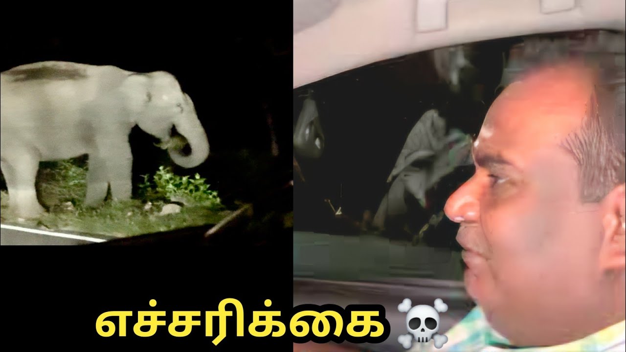 உயிர் மேல் ஆசை இருக்கா ? இந்த வழியா போகாதீங்க - எச்சரிக்கை ☠️ - Tholpetty Forest Midnight Drive