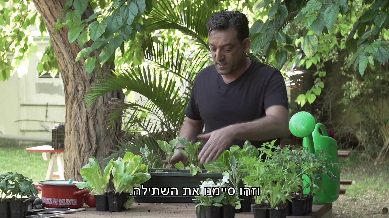 איך שותלים גינת ירק בבית?