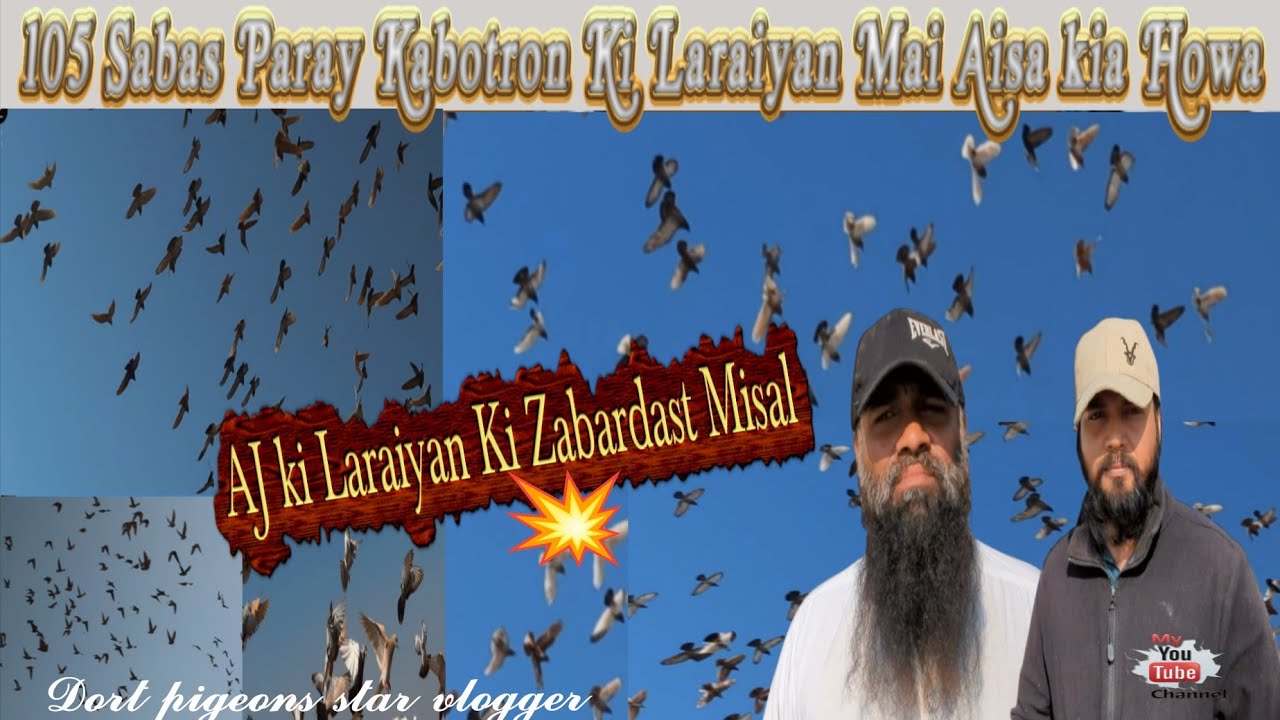 Uzair Bhai And Elyas Bhai k 105 Sabas paray Kabotron Ki Laraiyan 🔥😏💯