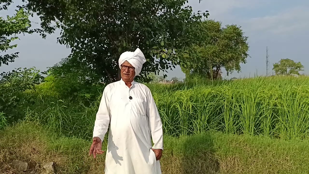 जो अपने बेटे बेटी का घर बसाती है वो होती है माँ तूने दोनों का उजाड़ दिया तु माँ नहीं डायन डँकणि है 
