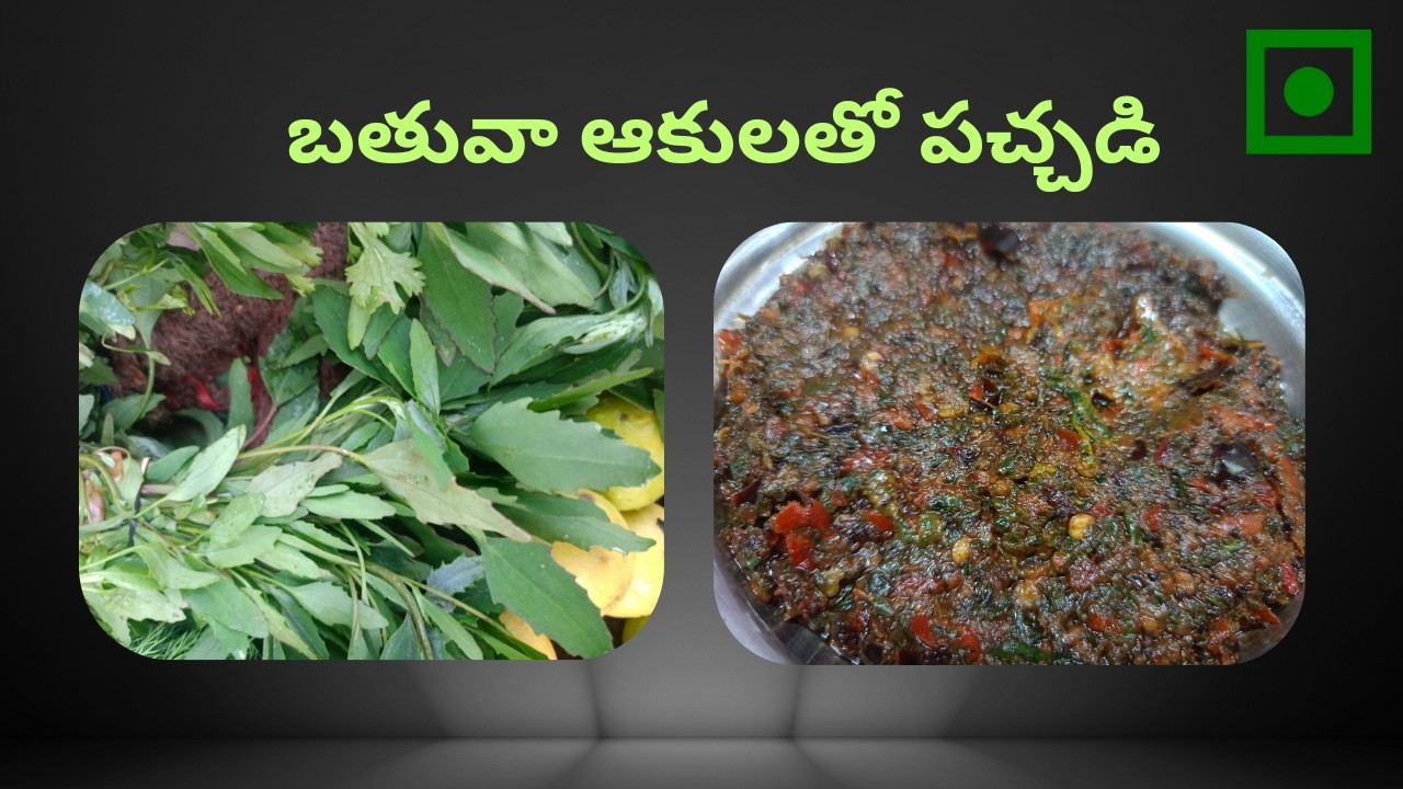బతువా ఆకులతో పచ్చడి రుచికరమూ ఆరోగ్యకరమూ | Chutney with Bhatua Leaves| RSP Recipes