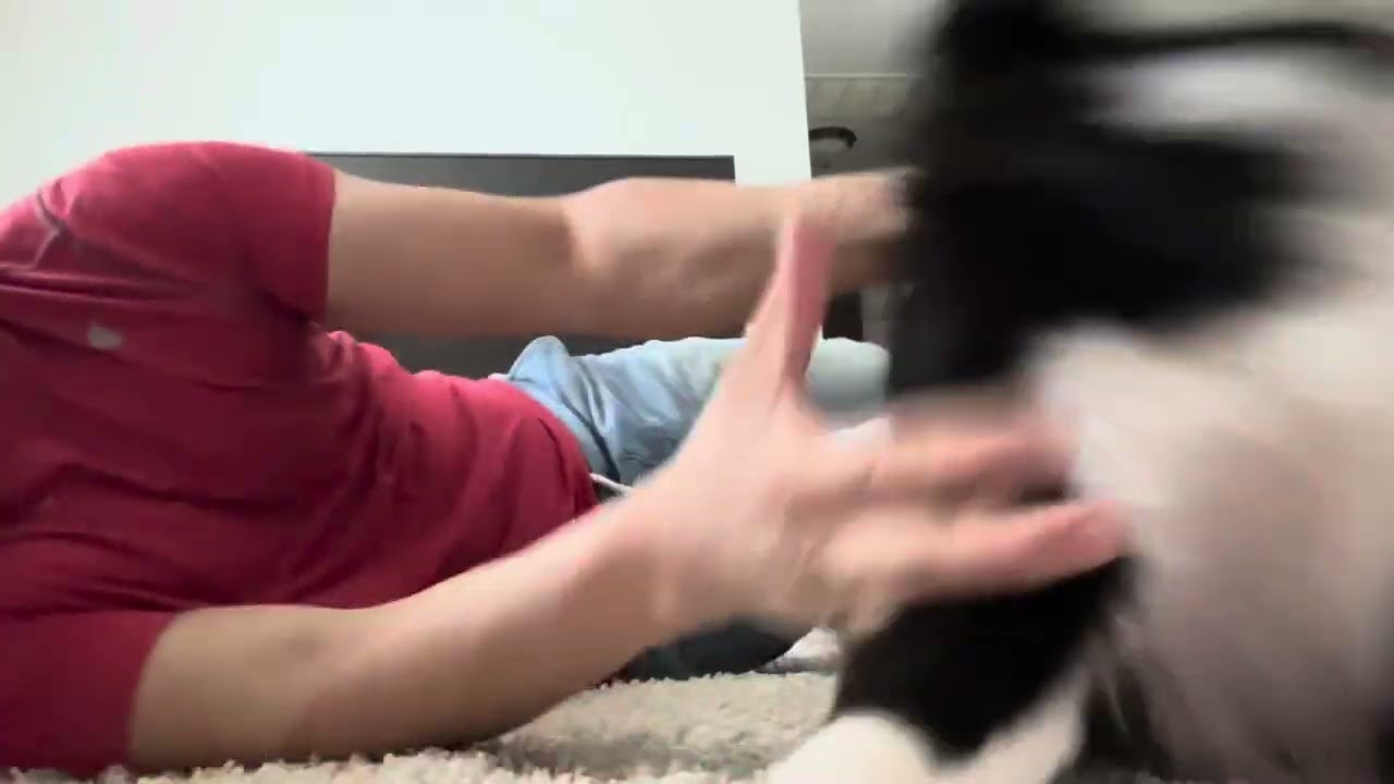 Benji Benji y papi jugando UFC
