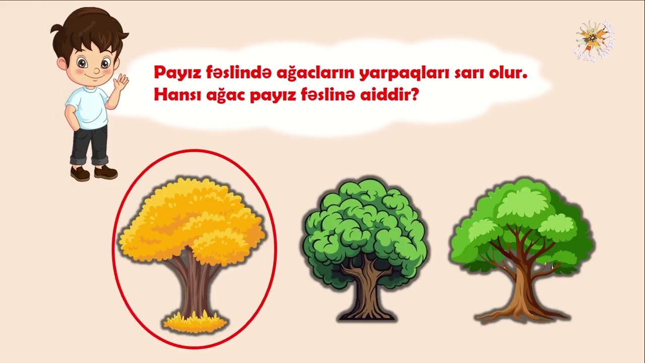 SÖZLÜ 🤔 MƏNTIQ (məktəbəqədər uşaqlar üçün)