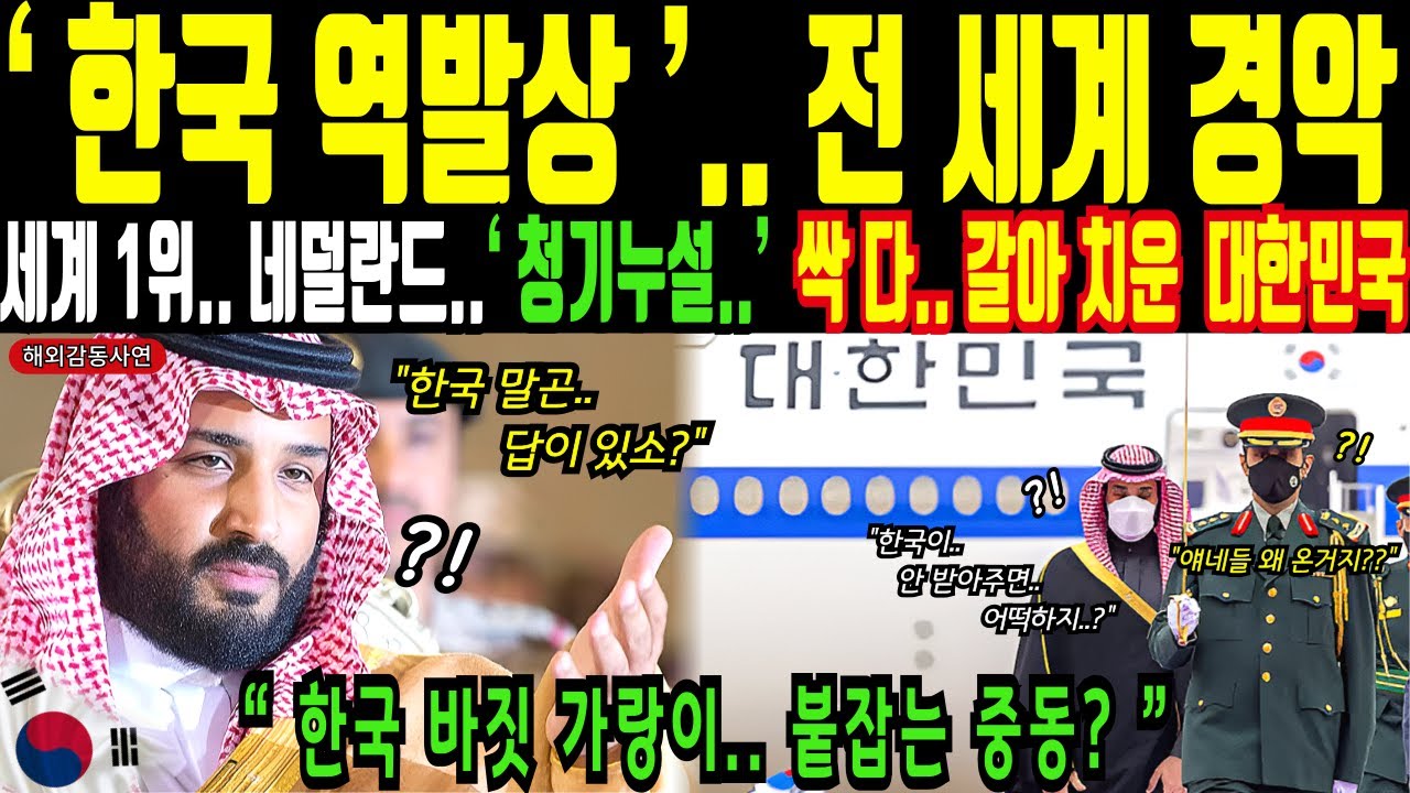 독보적 세계 1위 네덜란드 농업의 청기누설.. 싹 다 갈아치운 대한민국!ㅣ해외감동사연