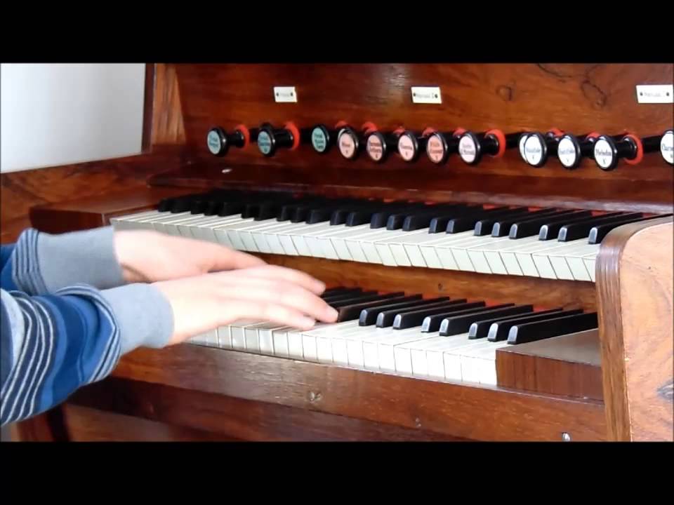 J.S. Bach, Toccata ('Dorian'), BWV 538, played on pedal harmonium, Martien de Vos