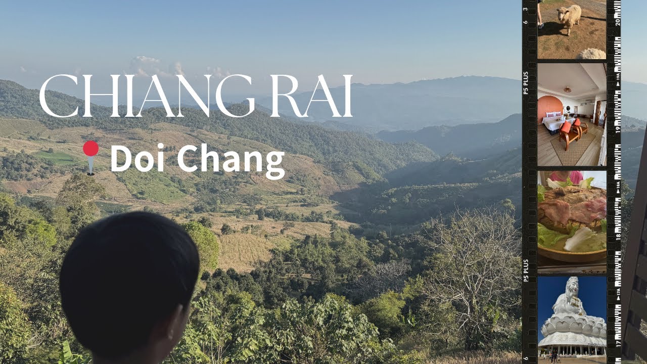 เชียงราย ดอยช้าง | พญาเสือโคร่ง 