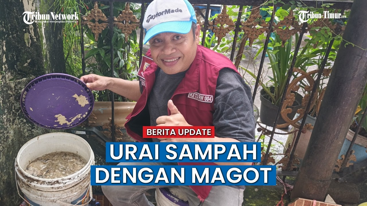 ‎Bagaimana Ketua RW Kunjung Mae Budidayakan Magot, Lava Handal Pengurai Sampah Organik