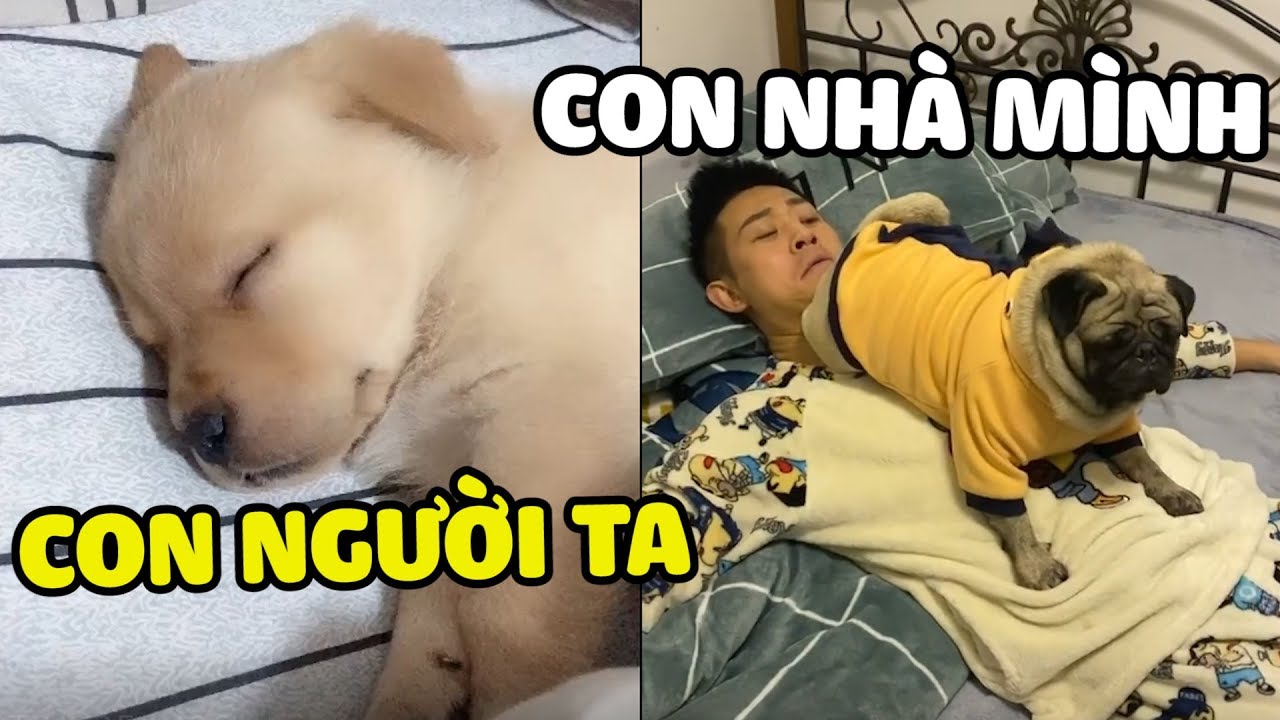 Con người ta ngủ Đ&Aacute;NG Y&Ecirc;U - con m&igrave;nh ngủ Đ&Aacute;NG Đ&Aacute;NH| Y&ecirc;u Lu Official