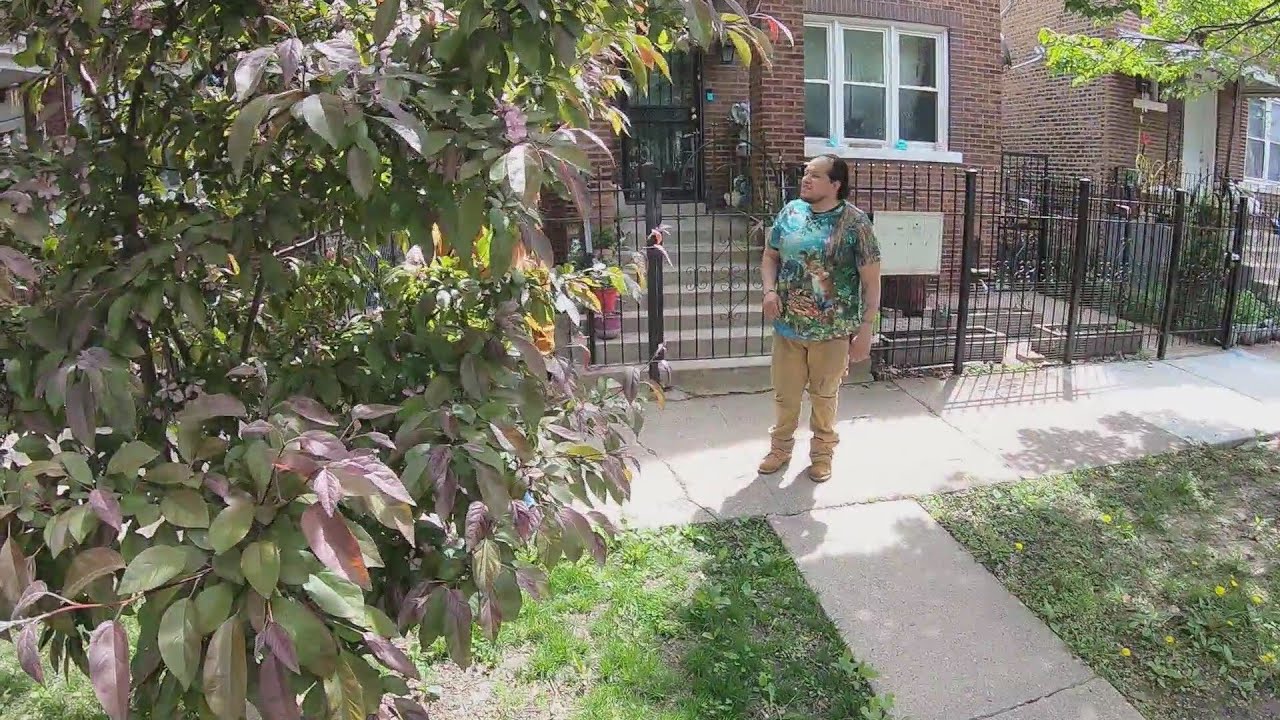 Meet Chicago's 'gangster gardener'