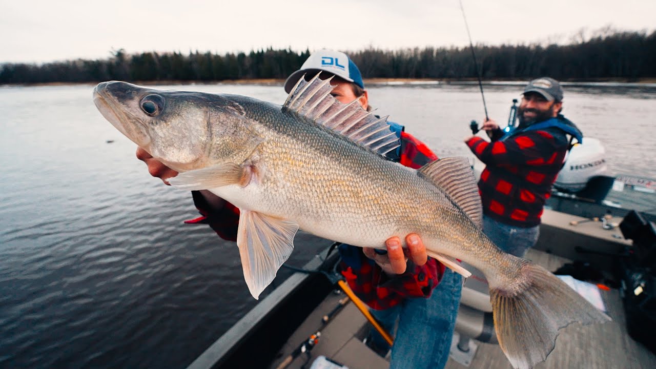 BIG Spring Walleye on the Rainy River