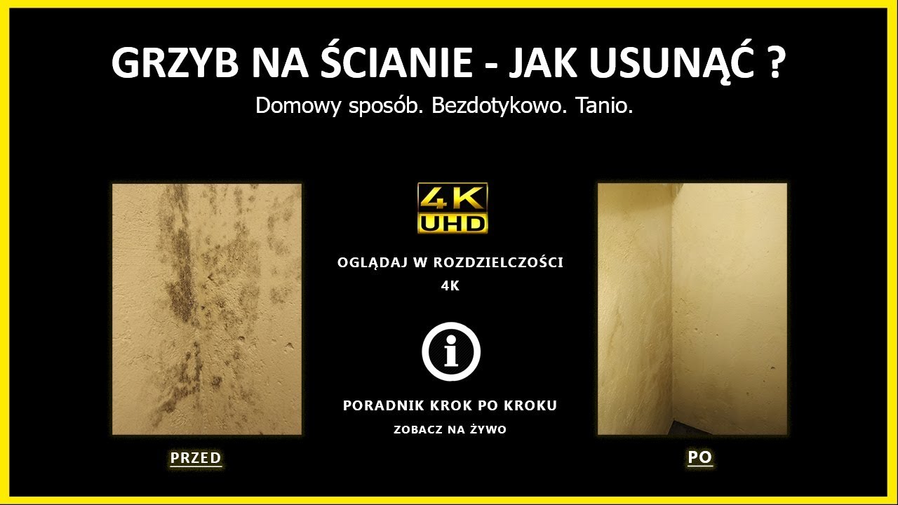 ✅ Grzyb na ścianie. Poradnik usuwania i zabezpieczenia się przed grzybem 4K