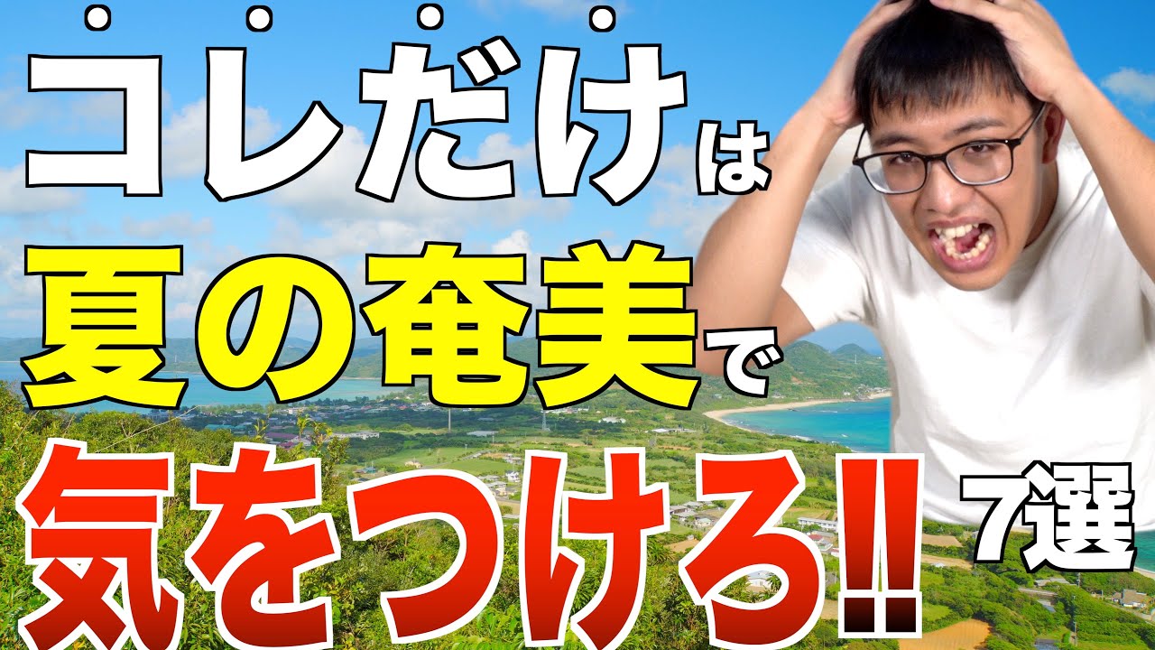 【絶対に知りたい】夏の奄美大島での注意点7選｜観光者必見